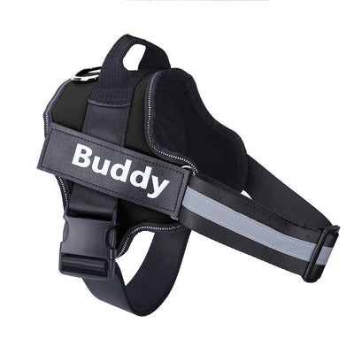 Personalized Dog Harness Vest